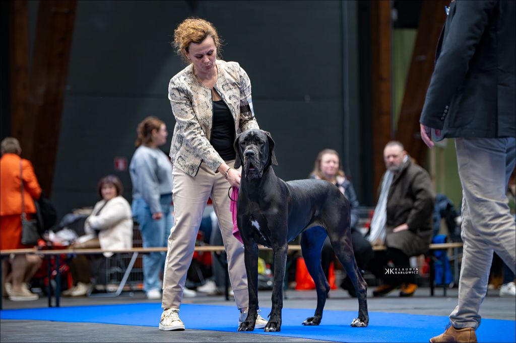 Black Dogs Of Go Spirit - EURODOGSHOW COURTRAI 