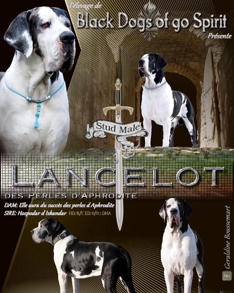 Lancelot lancelot des perles d aphrodite