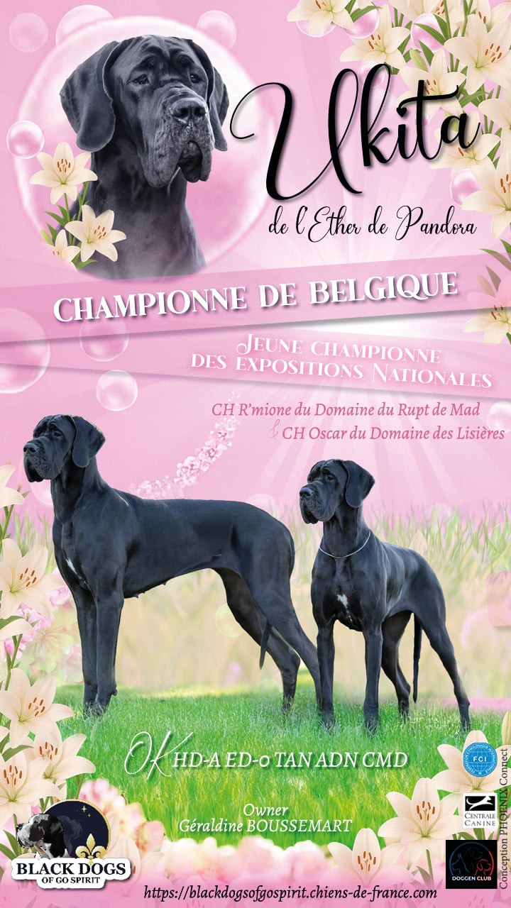 UKITA Jeune championne des Expositions Nationales