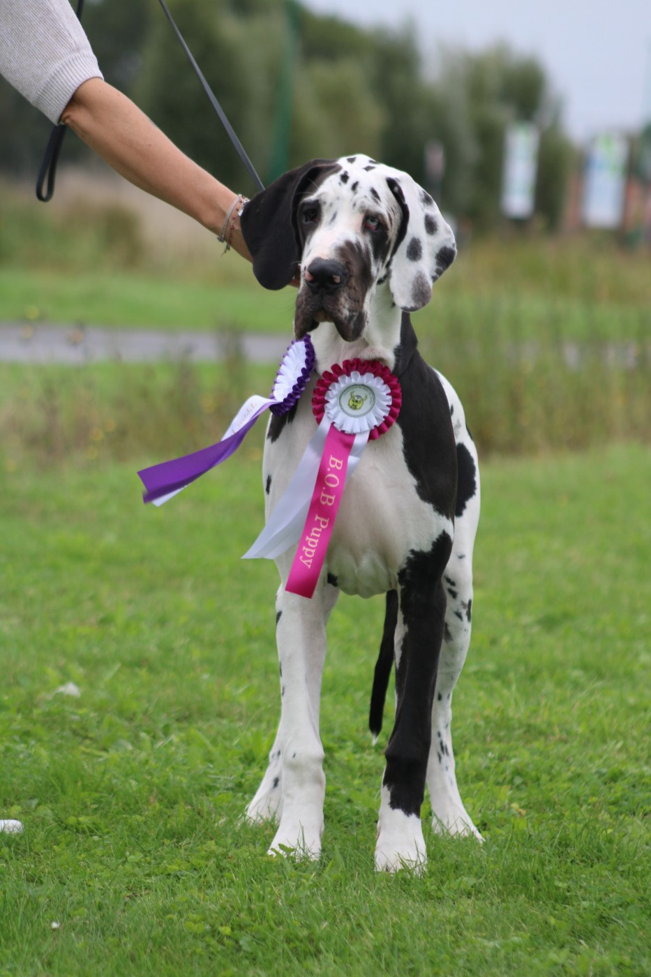 Nos bébés qui ont brillés à Gravelines !