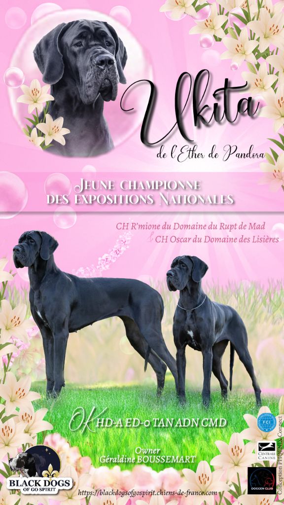 UKITA Jeune championne des Expositions Nationales 