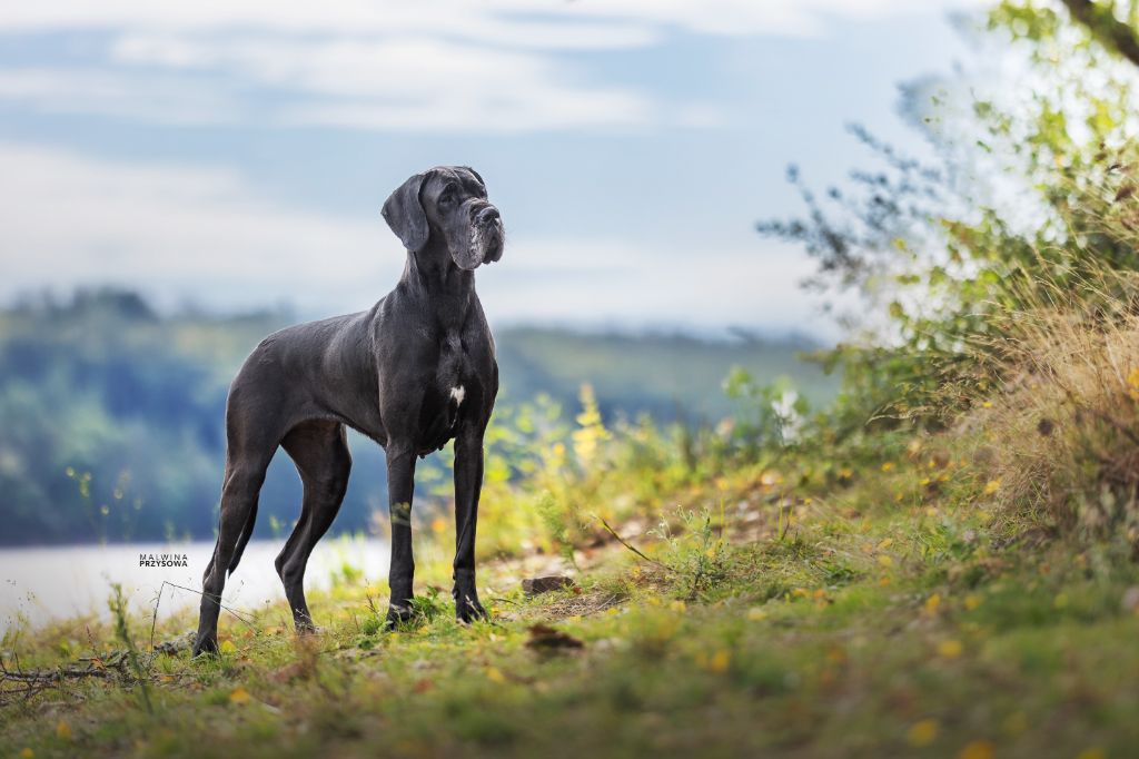 Ukita Nationale 2025