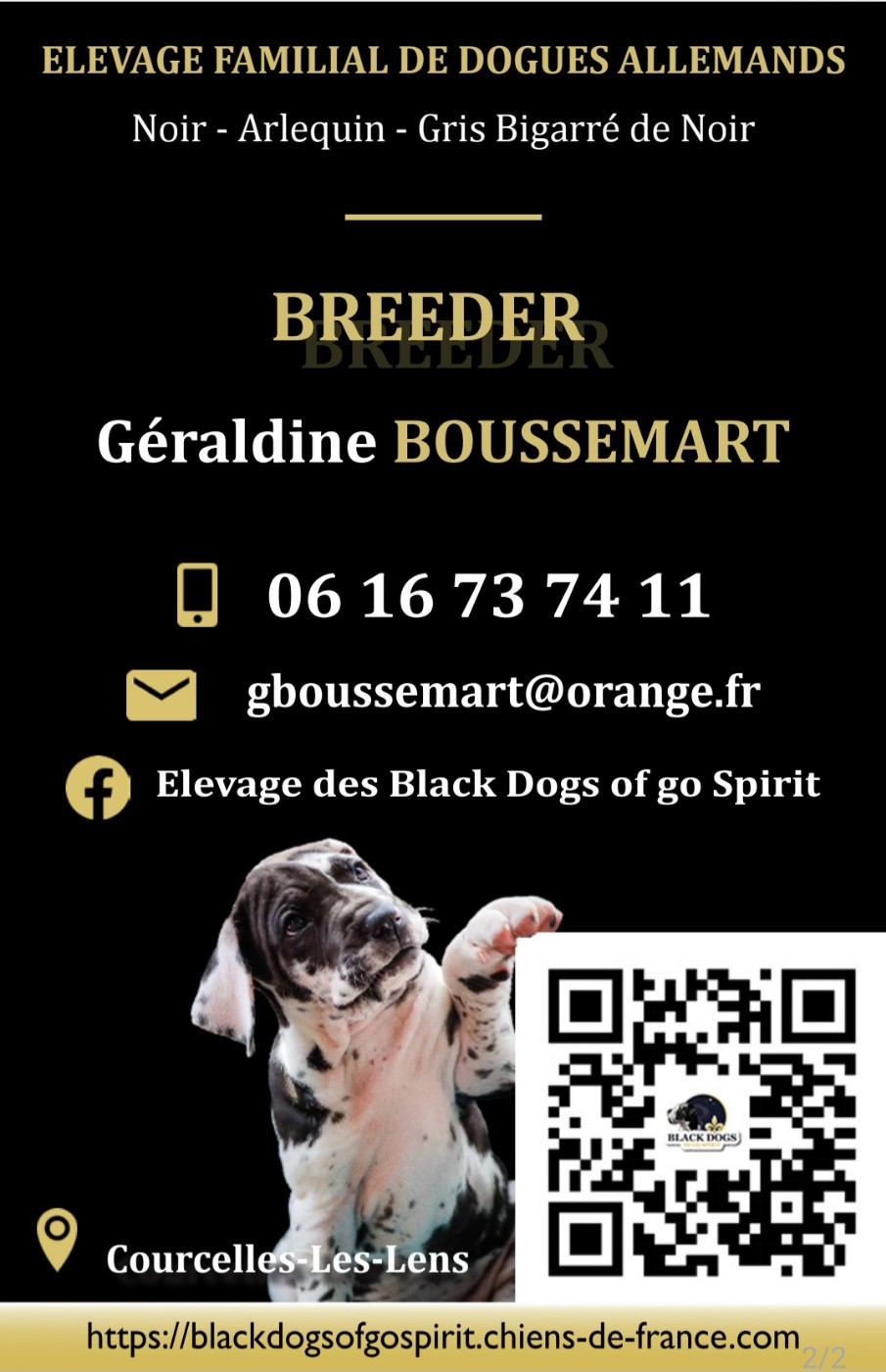 Black Dogs Of Go Spirit